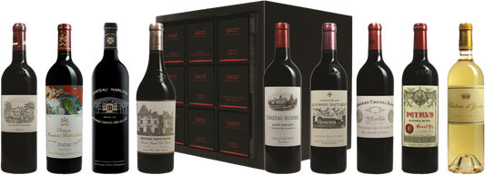 Duclot Bordeaux Prestige Collection Case 2015