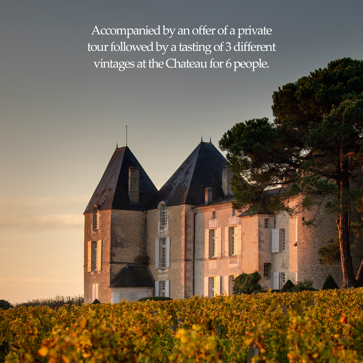 Chateau d'Yquem 1934