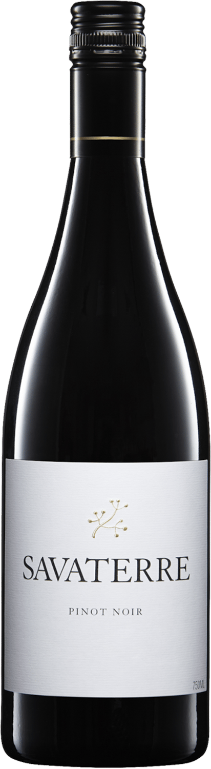 Savaterre Pinot Noir 2019