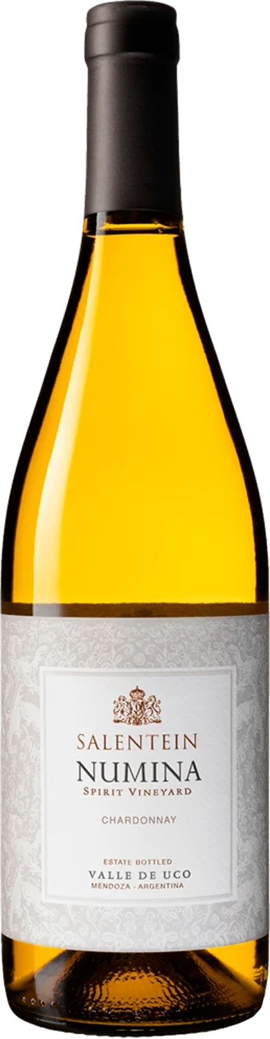 Bodegas Salentein Numina Chardonnay 2023