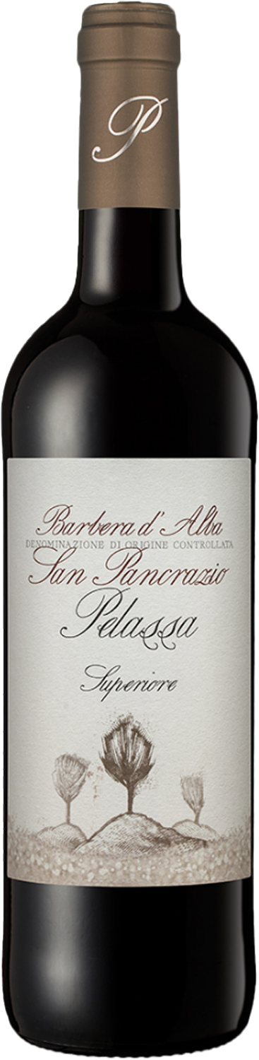 Pelassa San Pancrazio Barbera d'Alba Superiore DOC 2021