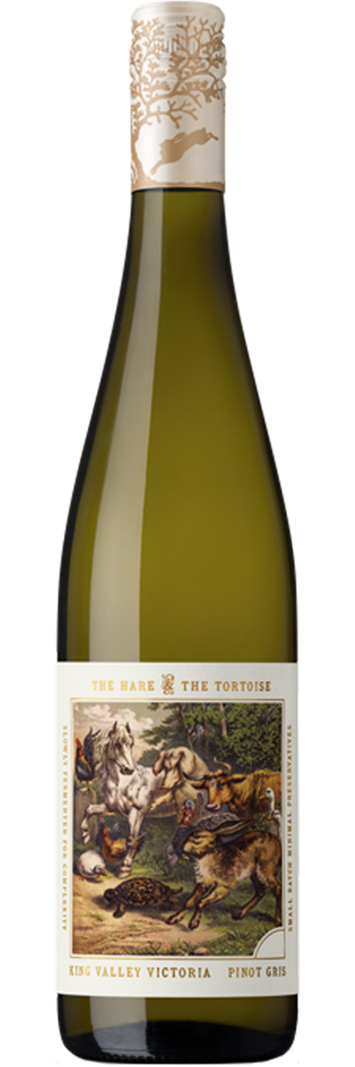 The Hare And The Tortoise Pinot Gris 2023