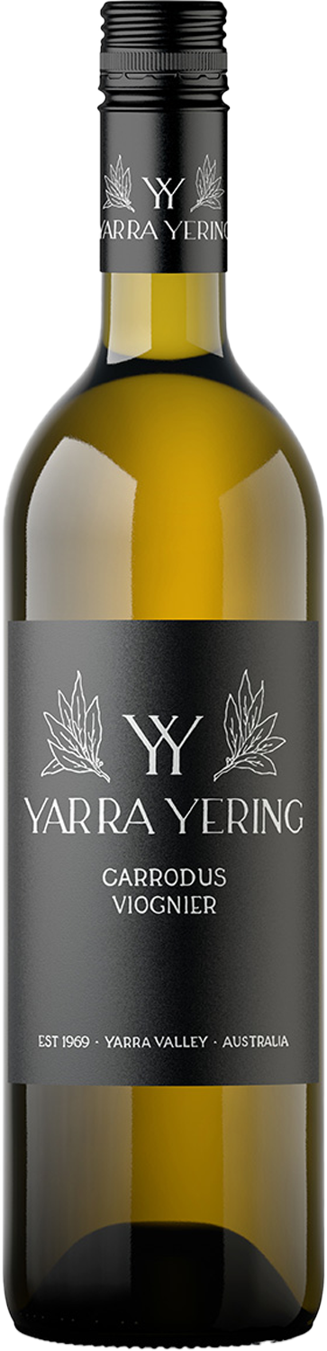 Yarra Yering Carrodus Viognier 2019