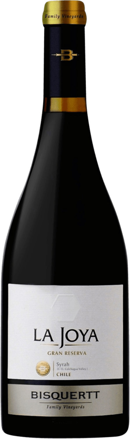 Vina Bisquertt Syrah Casa La Joya Reserve 2009