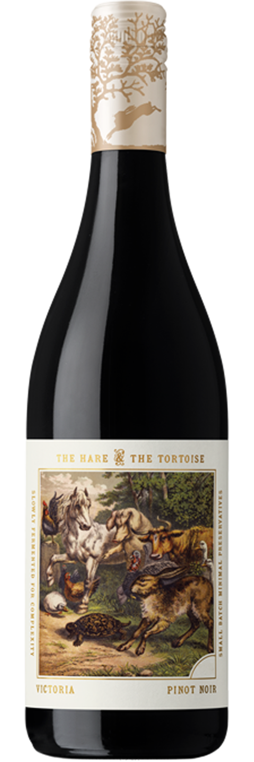 The Hare And The Tortoise Pinot Noir 2019