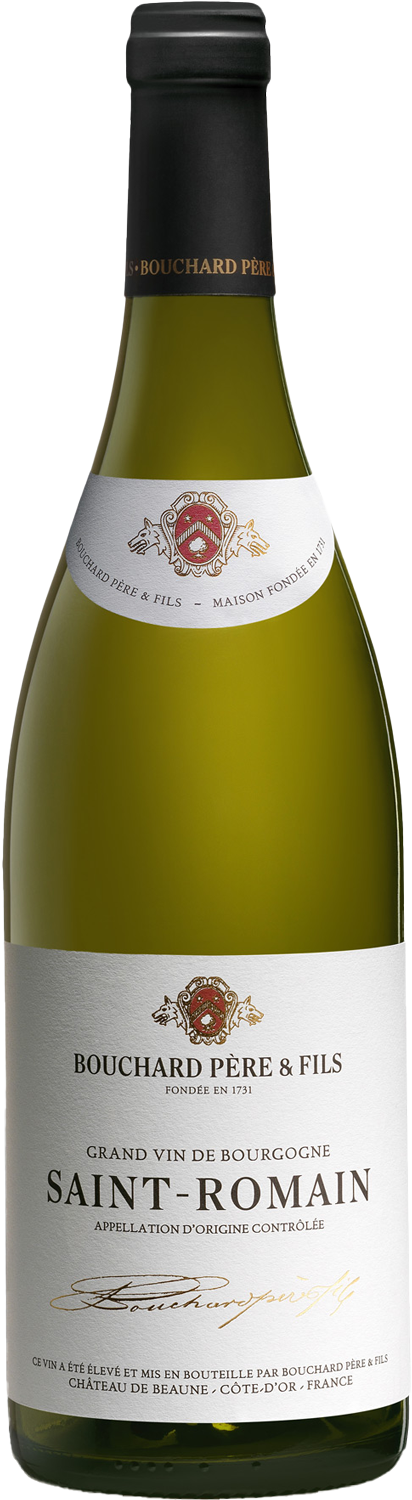 Domaine Bouchard Pere et Fils Saint Romain Blanc 2020