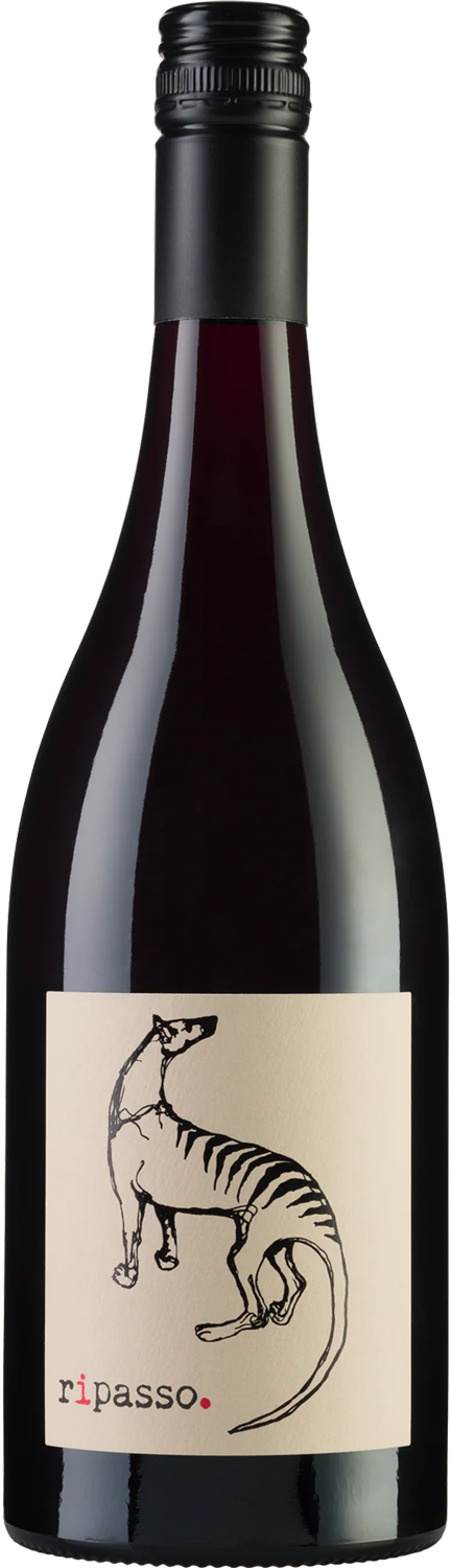 Small Island Saltwater River Single Vineyard Gamay 2024