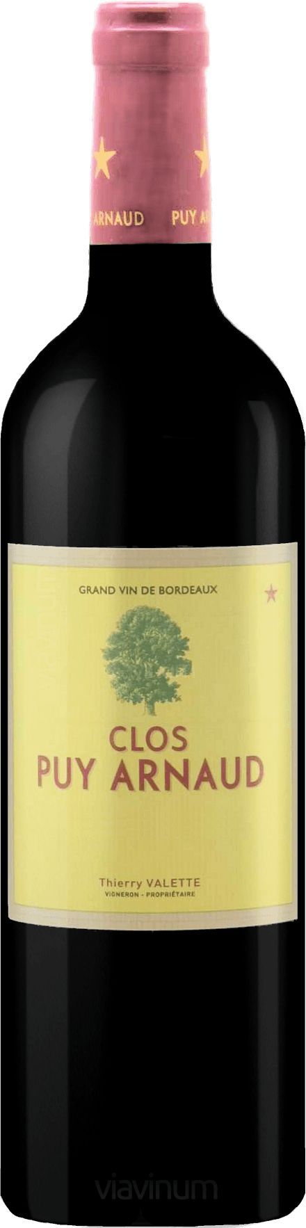 Chateau Clos Puy Arnaud 2020