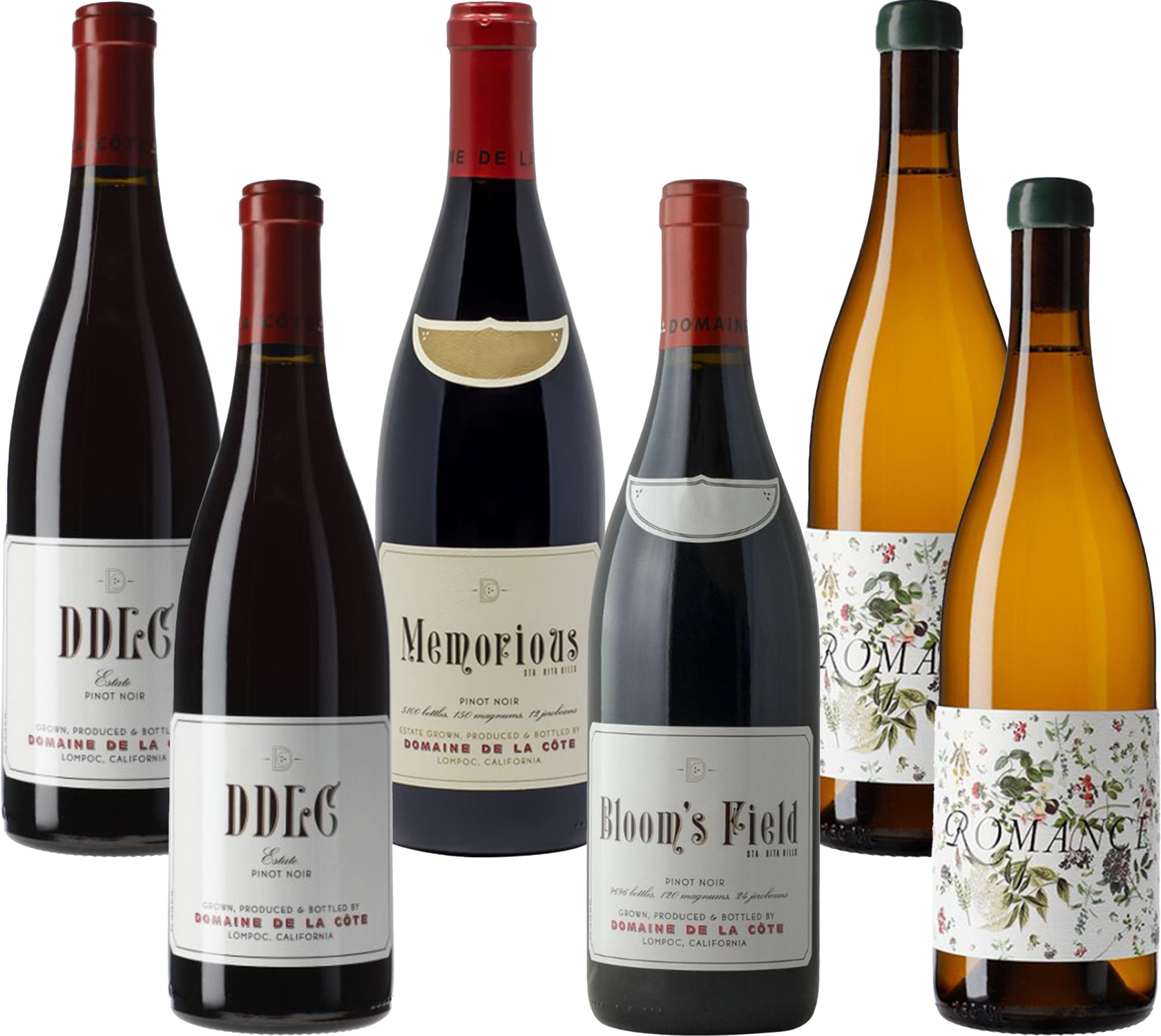 Domaine de la Cote 2021 Vintage Mixed 6 Pack